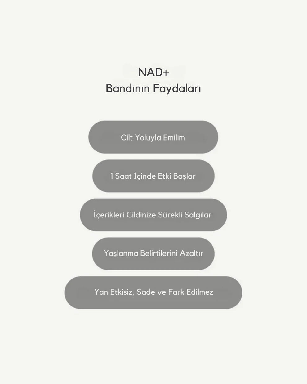 NAD+ Bant