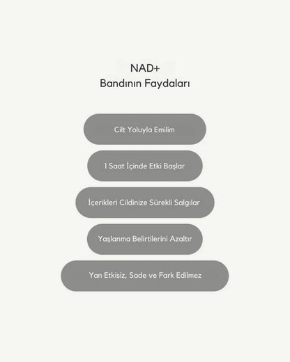 NAD+ Bant